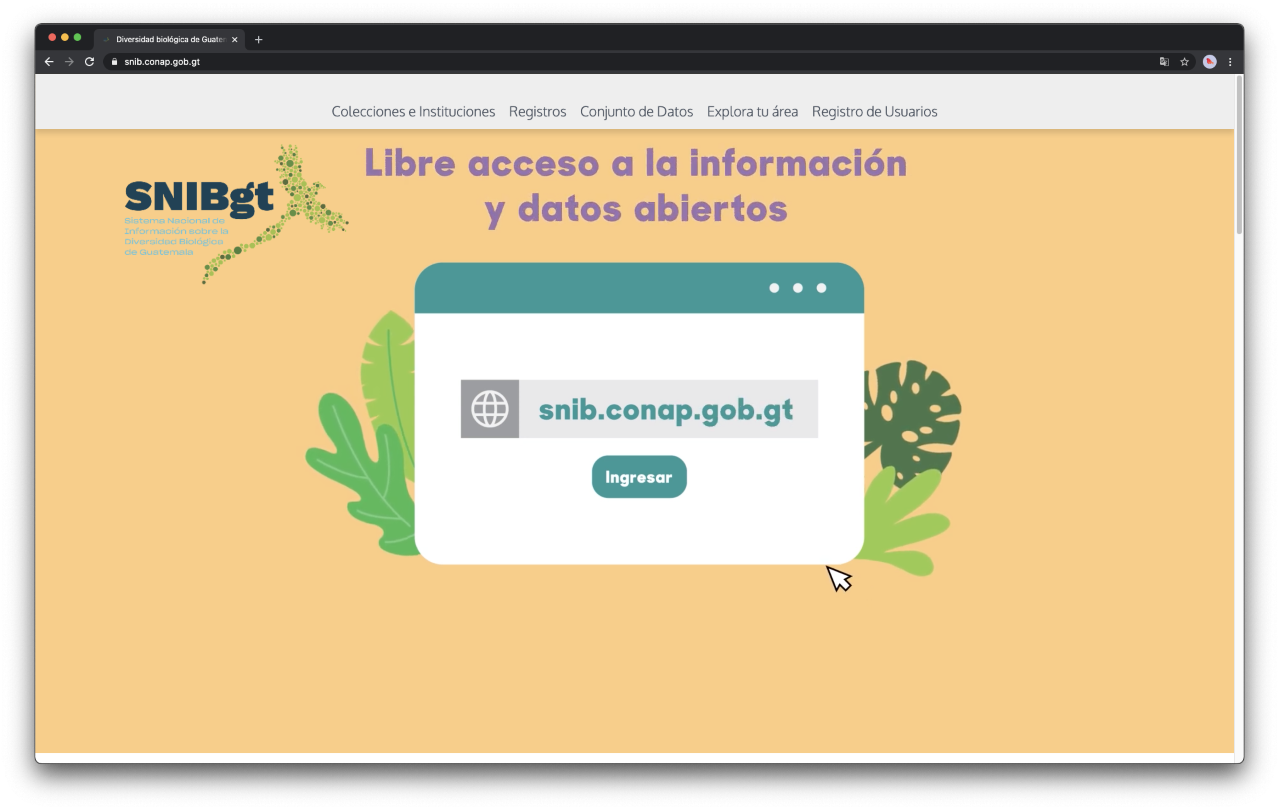 SNIBgt - Sistema Nacional de Información sobre Diversidad Biológica de Guatemala